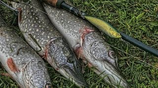 Рыбалка в кагальнике азовского района